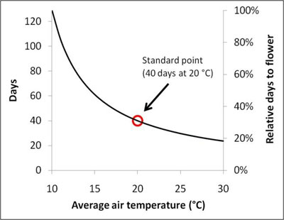 A Thermal Time Model for <em>Petunia</em> 'Classic Wave Purple' with a Linear Degree Day Model and a Base Temperature of 42 °F (5.5 °C) to Produce a Relative Temperature Response Curve