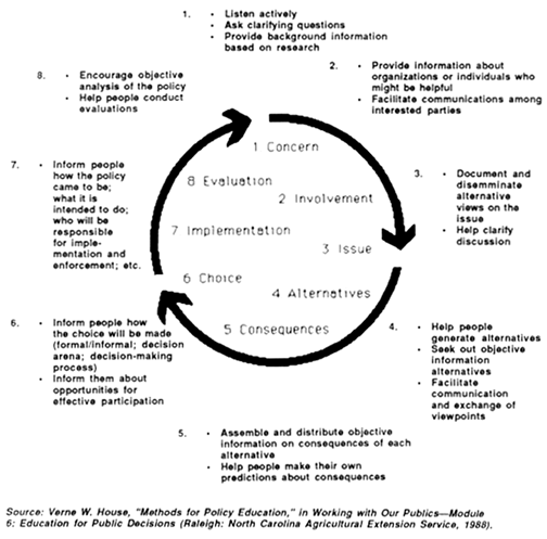 policy process model