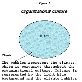 Organizational culture