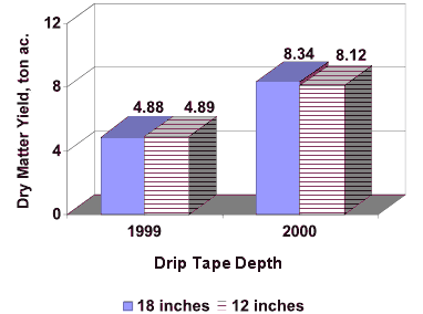 Dry Matter Yield as Affected by Depth of Drip Tape Placement