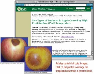 The Plant Health Briefs section contains images of plant conditions.