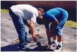 4-H Teen Mentoring Youth at the Garden Project