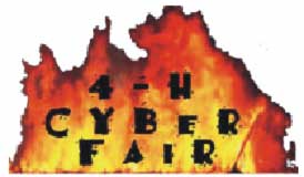 Cyber Fair Logo