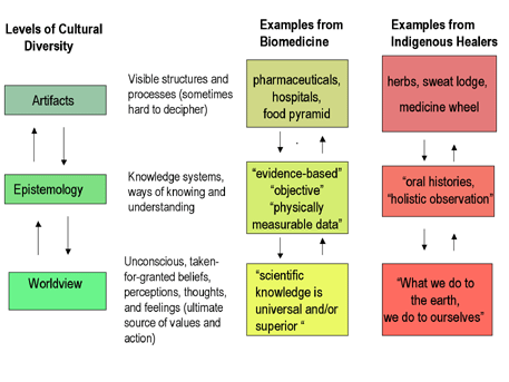 Depicts progressively deeper yet more powerful aspects of culture including levels of cultural diversity, examples from biomedicine and examples from indigenous healers.