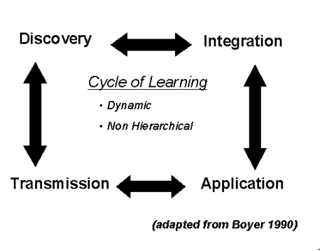 A graphic to describe the cycle of learning. Discovery, integration, application, and transmission are the four stages. 