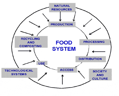Dahlberg's local food system