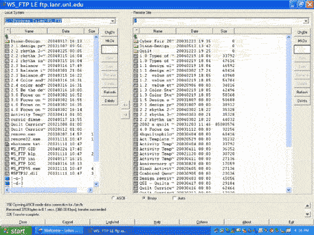 Screen shot of an FTP window showing local files and remote files
