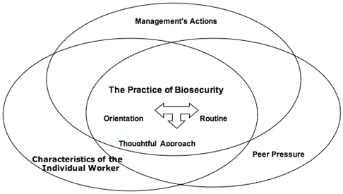How Phases of the Learning Process and Factors in the Workplace Interact and Influence the Practice of Biosecurity by Farm Workers