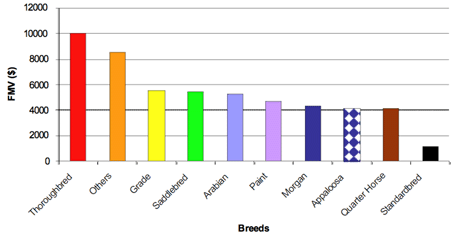 Average Fair Market Value of Horses by Breed