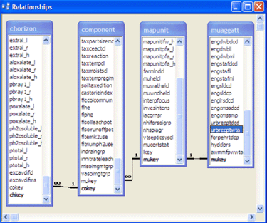 Extracted Tables and
Relationships in the Simplified Database Showing the Four Tables