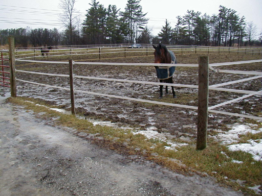 Muddy and Icy Paddock Prior to
Renovation