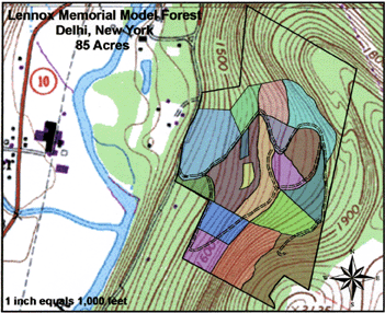The Lennox Model Forest