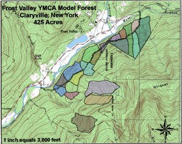 The Frost Valley YMCA Model
Forest