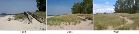 The Photos Above Show the
Re-establishment of a Sand Dune in Sandy Pond Beach Natural Area
Between 1997 and 2005 (Photos Courtesy of TNC and New York Sea Grant;
NY Sea Grant, 2005)