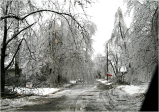 Ice Storm Devastated Horton, Kansas (photo by Jennifer
  Ploeger)