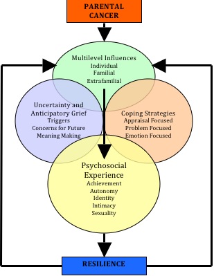 Developmental Systems Model