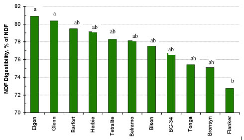 Neutral Detergent Fiber Digestibility (NDFD) of 11 Perennial Ryegrasses. Means Different Superscripts Differ (P < 0.05).