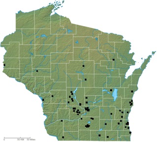 Wisconsin's Plastic Valley Clusters