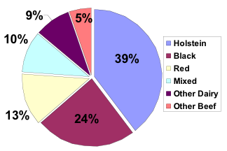 Distribution of Lots by Haircoat Color/Breed Composition