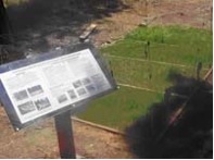 Various Species of Erosion
Control Grasses Have Been Planted. Interpretive Signs Discuss Pros
and Cons of Turf Versus Erosion Control Grasses