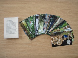 Forest Story Cards Consist of 52 Photographic Images of Forestry Topics
Representing Seven Different Categories