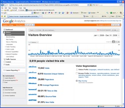 Image Captured from the Visitor
Tab in Google™ Analytics
