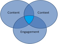 MMSAEEC Program Delivery Model:
An Integration of Content, Context, and Engagement