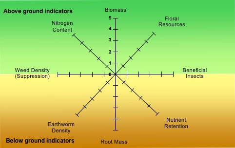 Spider Plot
Diagram Used To Evaluate Ecosystem Services from Cover Crops