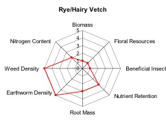 Rye/Hairy Vetch