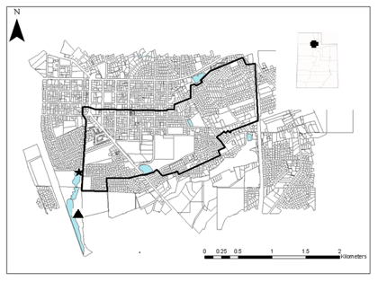 Watershed of Ponds (Heavy Black
Line) at Utah Botanical Center, Kaysville, Utah. Star Indicates
Location of Monitoring Site, Triangle Represents Location of Rain
Gauge