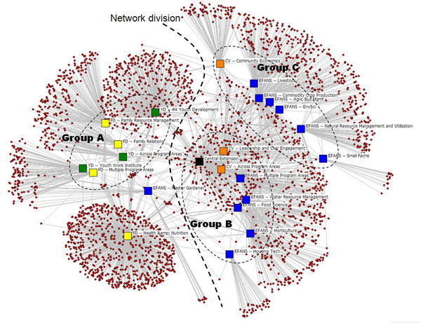 Organizational Network, by Program Area