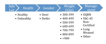 Breakdown Process of Price Report