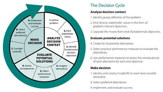 The Decision Cycle and Outline
of Its Steps