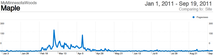 Time Series of Total Daily Maple Pageviews for the Period