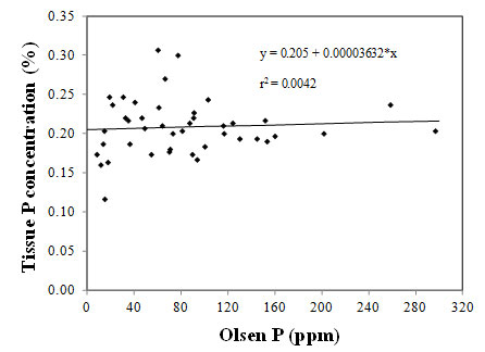 Whole Plant Corn Tissue Total P Concentration as Related to End of Season Olsen Soil Test P in Southern Idaho