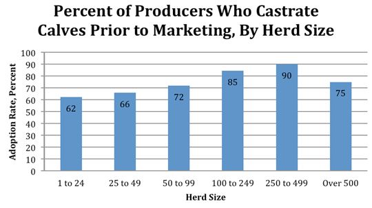 Castration Adoption Rate by Herd Size