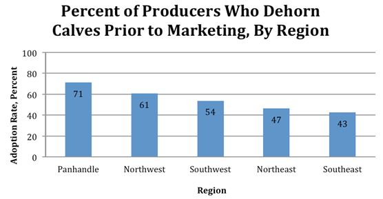 Dehorning Adoption Rate by Region