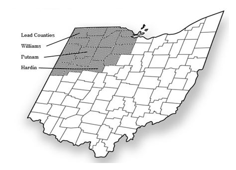 Northwest Ohio counties that participated in College Readiness for Rural Youth (shaded areas)