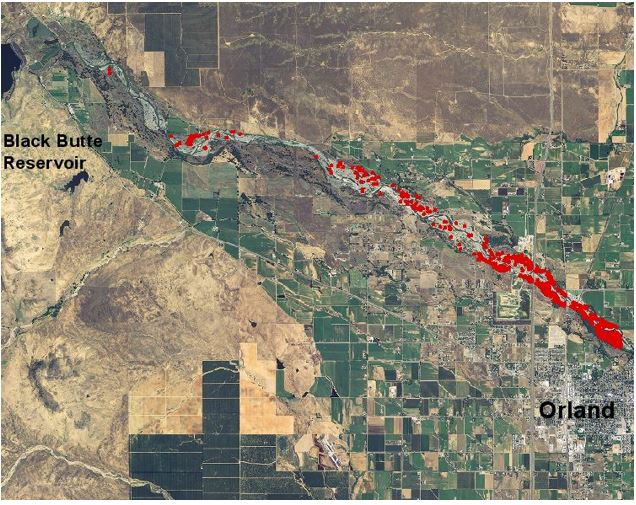 Completed Arundo Distribution Map. Arundo Polygons Indicated in Red.