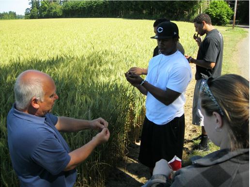 Summer Class Visit to a Demonstration Farm