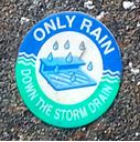 Example of Prompt Used to Prevent People from Polluting Through Storm Drain
