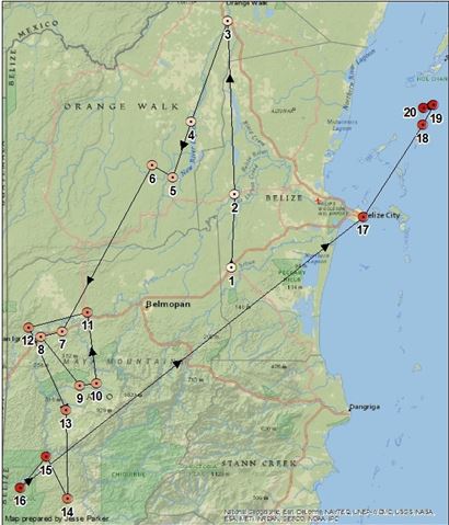 Approximate Path of the 2011 Belize Study Abroad Course, Created Using Periodic GPS Waypoints and with Significant Stops Numbered