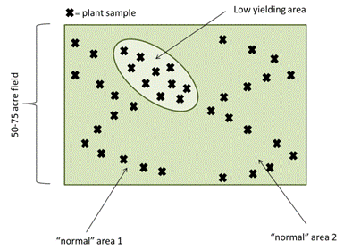 Description: C:\Users\lindsey.223\Desktop\Unfinished Manuscripts\State Survey- JOE\sampling.gif