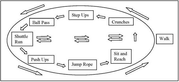 Figure 1 Circuit Training Set Up2