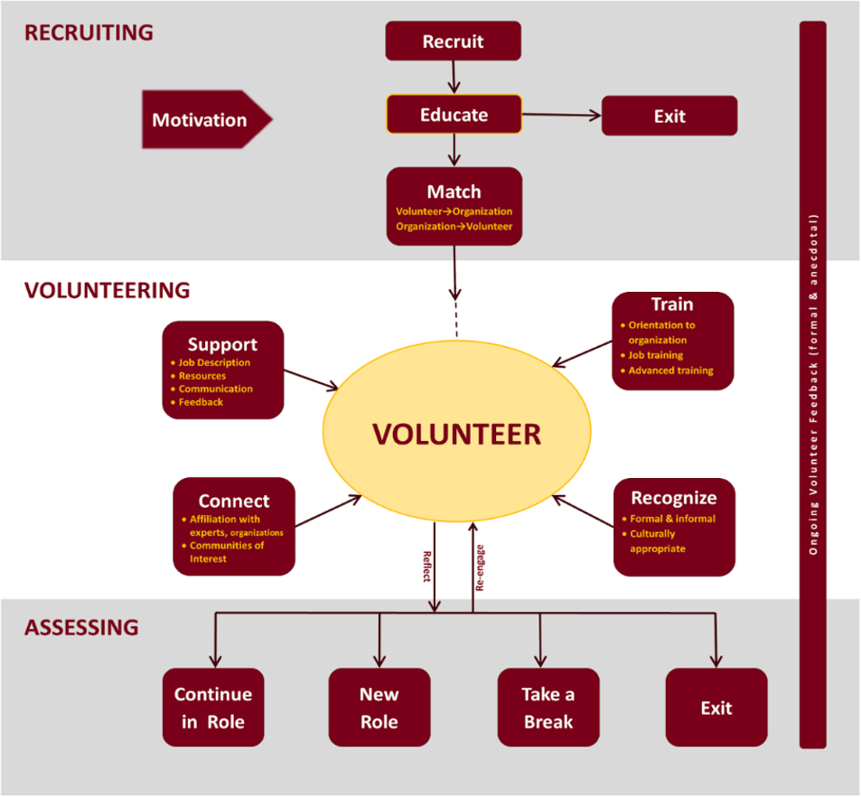 Volunteer Life Cycle model - simplified 3.png