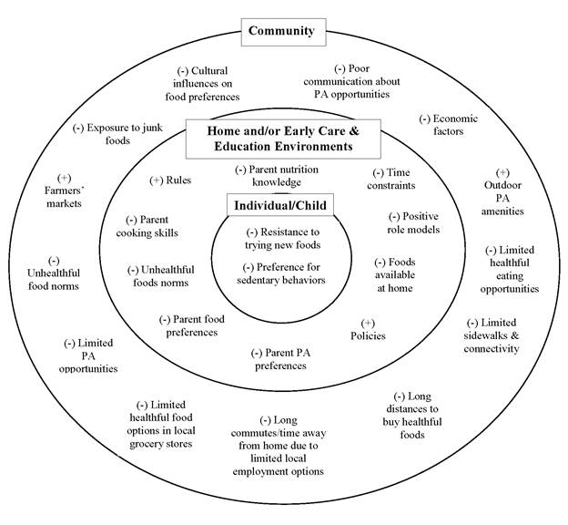 Theme Examples and the Social Ecological Model