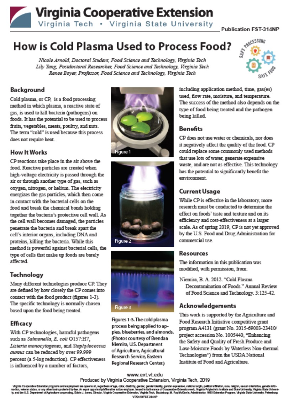 How is Cold Plasma Used to Process Food? Infosheet