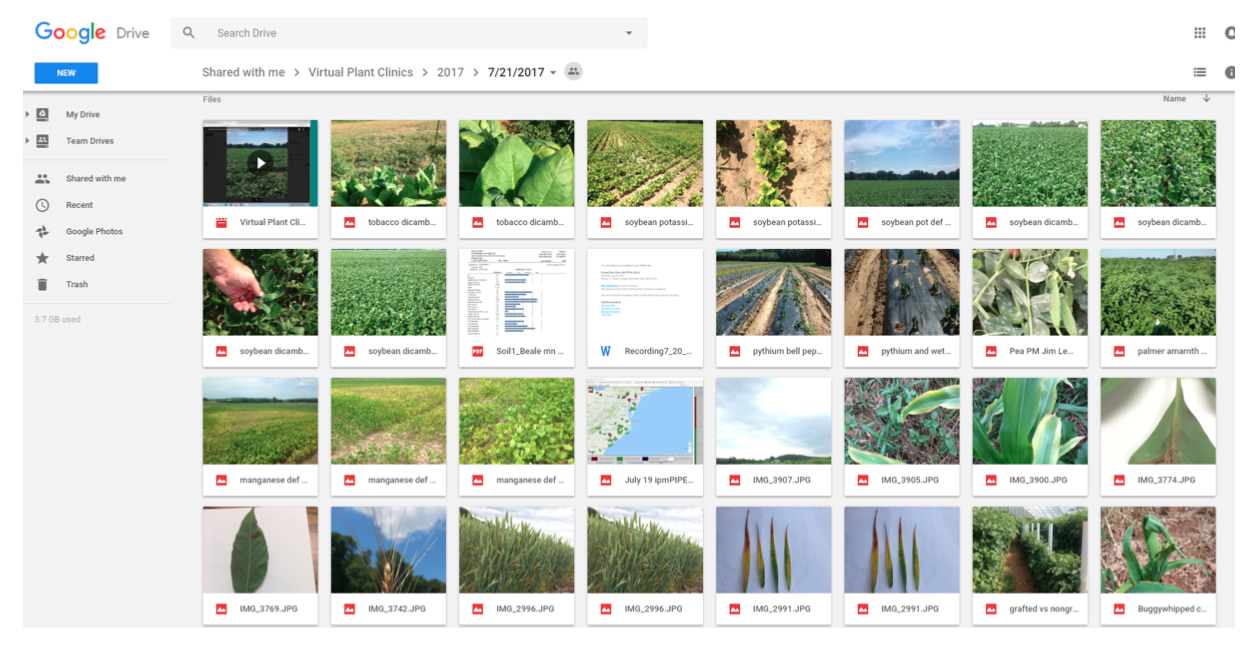 Screenshot of Shared Documents in Virtual Plant Clinic Google Drive Folder
