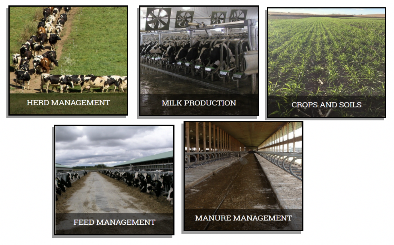 Primary Technical Topic Areas of Dairy Virtual Farm
